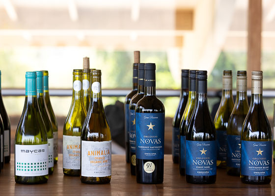 Emiliana, la vi�a org�nica m�s grande del mundo, celebra el Mes de la Tierra todos los d�as