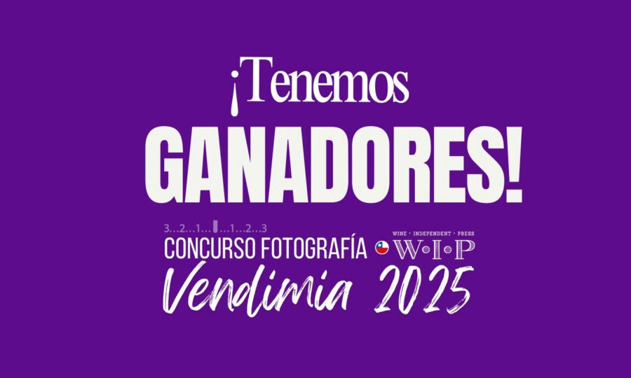 WIP.cl: Ganadores del Concurso foto vendimia 2025