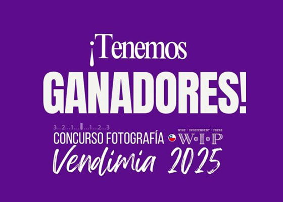 WIP.cl: Ganadores del Concurso foto vendimia 2025