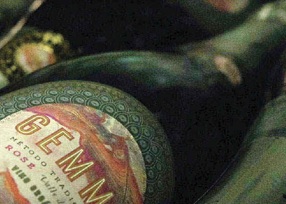 Oportunidad Gourmet: Espumante Gemma Ros 750 ml a $7.990 en Vinpolis