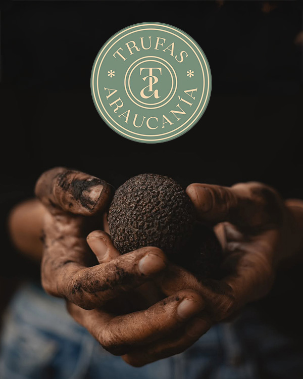 Trufas Araucana