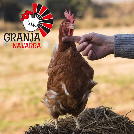 Huevos Granja Navarra
