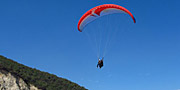 Panoramas Deportivos