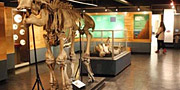 Museos