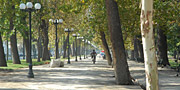 Parques