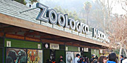 Zoológicos